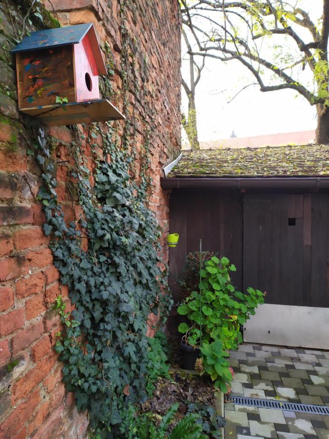 Cozy Uppertown Studio 萨格勒布 外观 照片